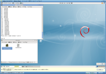 Debian5.0.5 VMware Tools_19939_image016.png