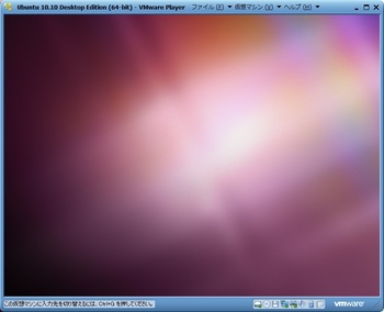 Ubuntu1010_013.jpg