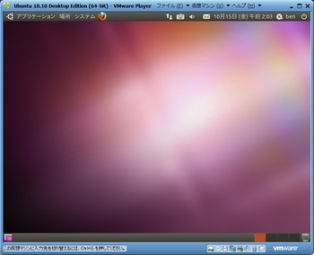 Ubuntu1010_016.jpg