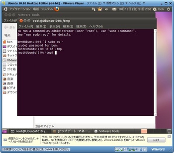 Ubuntu1010_021.jpg