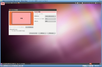 Ubuntu1010_030.jpg