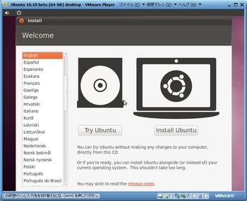 Ubuntu1010beta_003.jpg