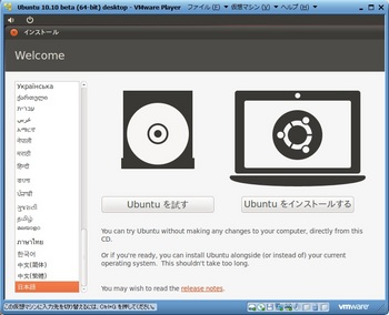Ubuntu1010beta_004.jpg