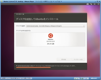 Ubuntu1104_010.jpg